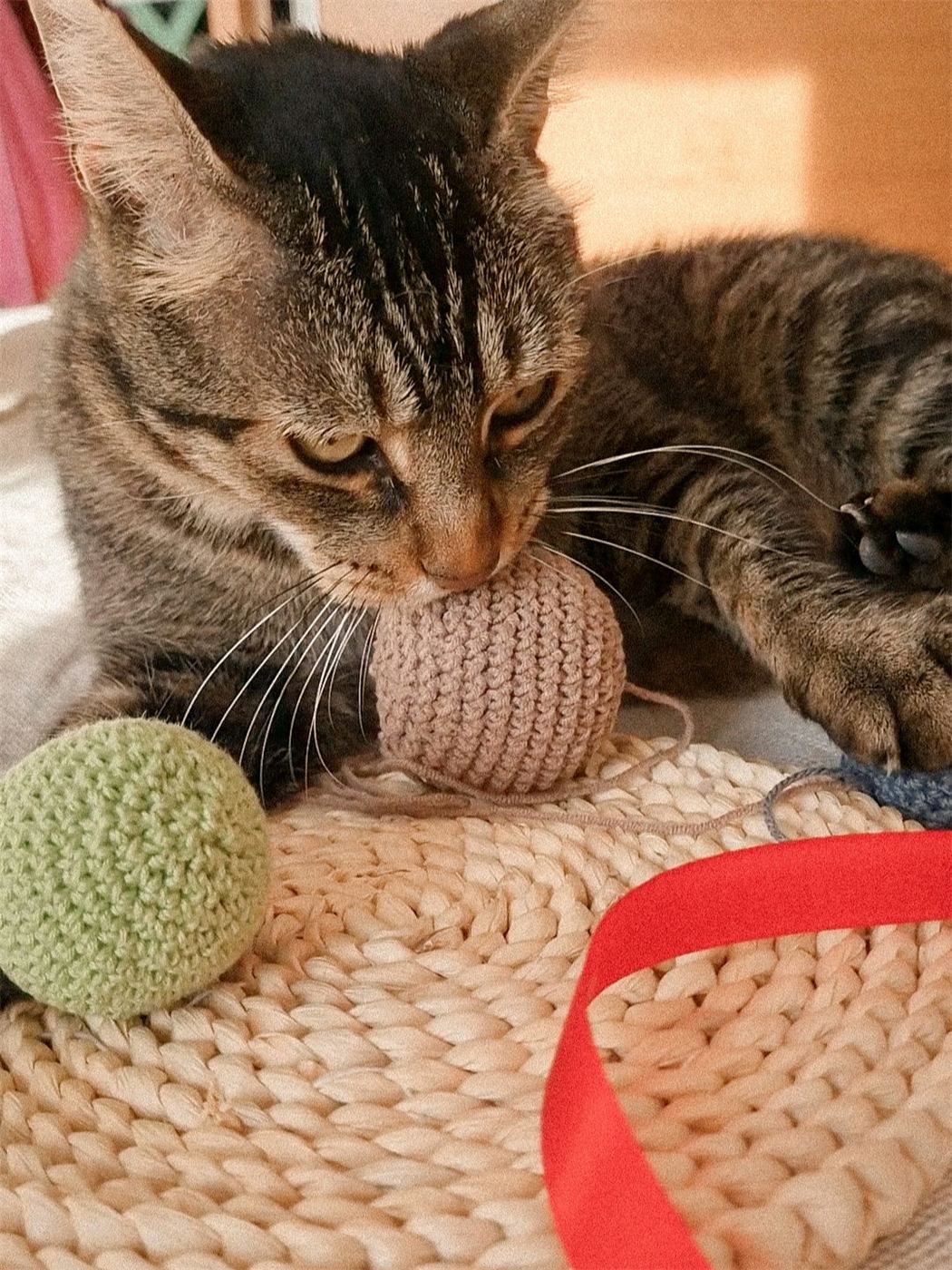 Pelotas con Catnip o Valeriana — foto 3 de detalle