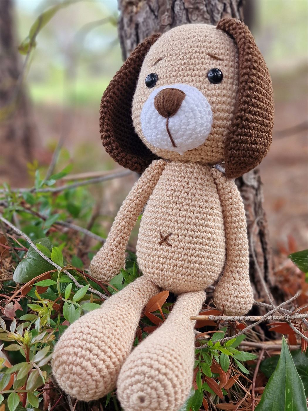 Perrito Bruno — foto 3 de detalle