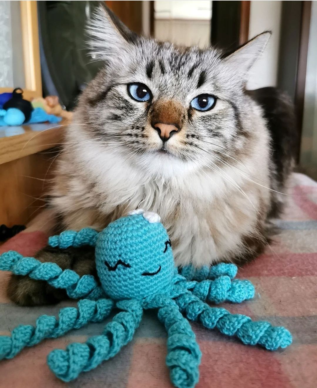 Pulpi — amigurumi tejido a mano por Trufitas Artesanas